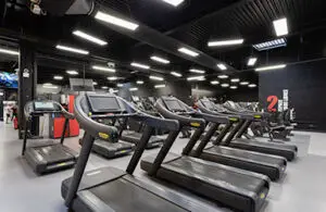 Cardio training course a pied salle de sport